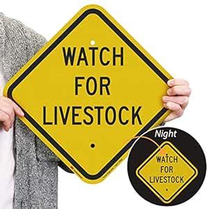 SmartSign 12 x 12 inch “Watch For Livestock” Metal Sign, 63 mil ...