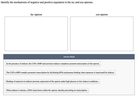 Image result for Negative and Positive Operons