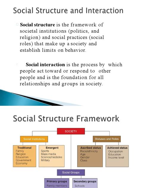Social Structure Is The Framework of | PDF | Social Status | Institution