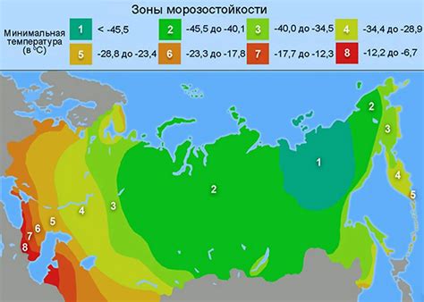 Зоны морозостойкости USDA – сломанный костыль, который ничего не ...