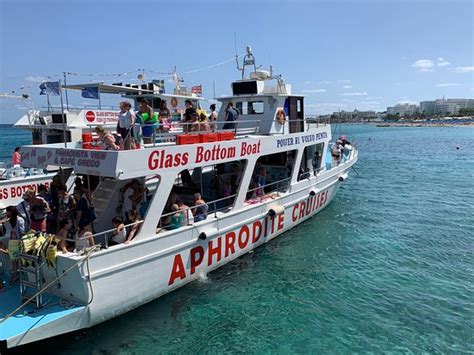 got to swim with a baby turtle !!!! amazing trip for everyone and ...