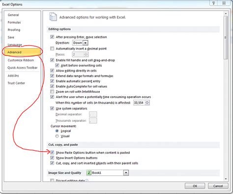 Image result for Excel Copy/Paste Issue