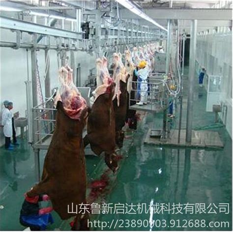 肉牛屠宰生产线 屠宰场设备-牛屠宰设备-牛扯皮机-扒皮机-环保在线