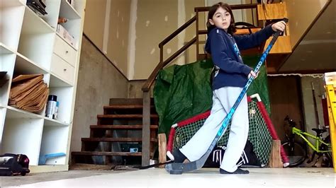 Image result for Datsyuk Flip