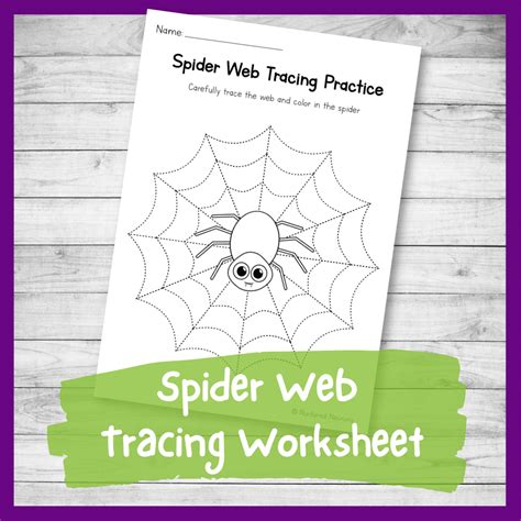 Spider Web Tracing Practice Worksheet (Preschool Printable) - Nurtured ...