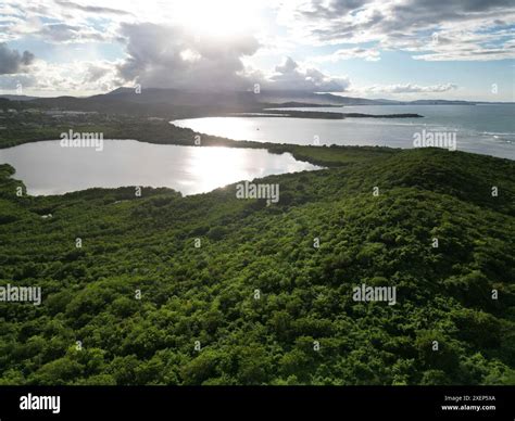 laguna grande drone view (bioluminescent bay fajardo puerto rico) bio ...