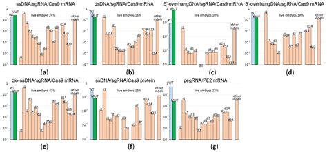Comparative Analysis of Genome Editors Efficiency on a Model of Mice ...