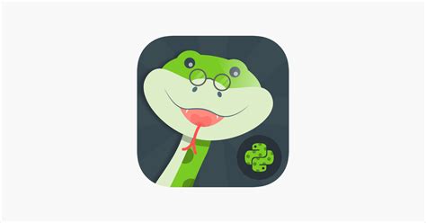 Image result for Python Learning App