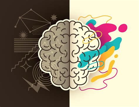 Brain Pattern Vector 的图像结果