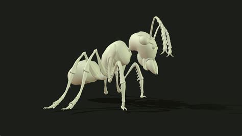 3D拼图 - 蚂蚁-三维模型库-蜂特网