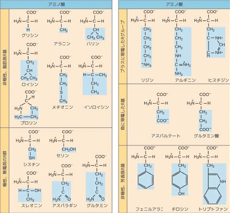 Image result for Nearest Neighbours Algorithm Graph Examples