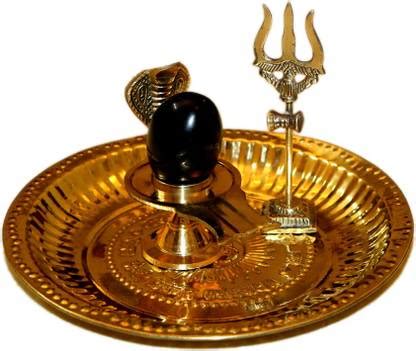 NAVYAKSH Black Shaligram Shiva Ling/Shivling with Brass Trishul ...