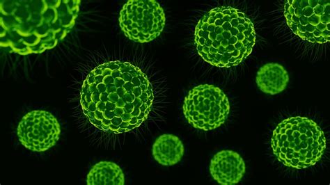 Pathogens 的图像结果
