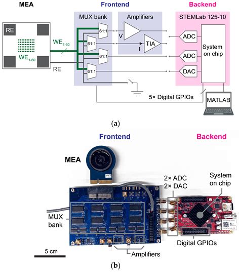 A Low-Cost Multimodal Testbed for Array-Based Electrophysiological ...