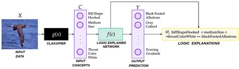 Logic Explained 的图像结果
