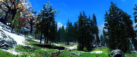 Steam Community :: The Elder Scrolls V: Skyrim Special Edition