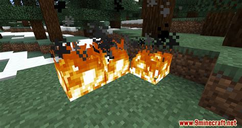 Image result for Minecraft Fire Mod