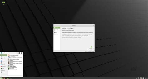 Image result for Linux Mint 20.2