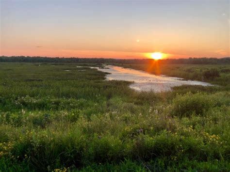 2019 Wetlands Status and Trends Report | U.S. Fish & Wildlife Service