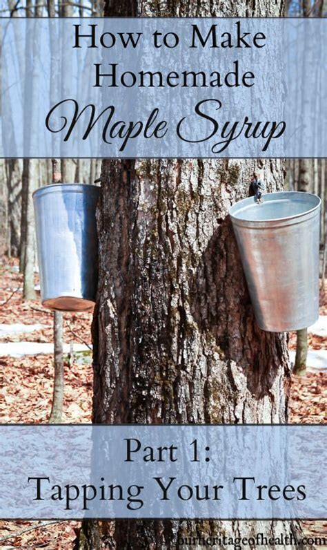 Image result for Homemade Maple Syrup Taps