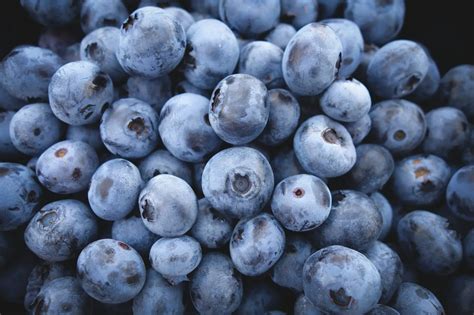 Blueberry Recall 2025 | Food Safety Alert 2025