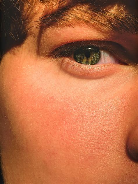 How Does Sunscreen Work 的图像结果