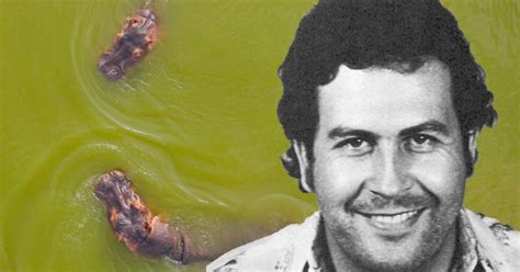 Pablo Escobar's Death: Who Was Responsible? | The Vintage News