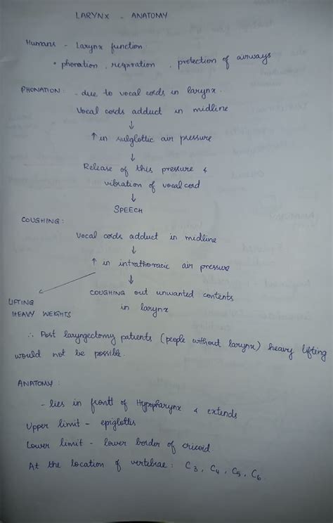 Larynx Anatomy - Summary Forensic medicine - ####### loser ofbedor ...