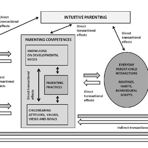 Image result for Transactional Effects Model