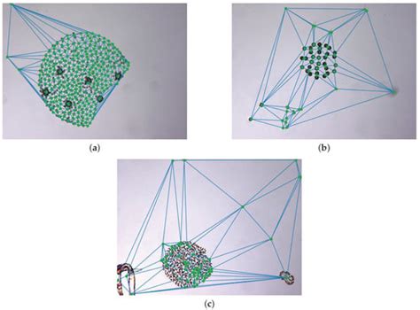 Automatic Detection of Freshwater Phytoplankton Specimens in ...