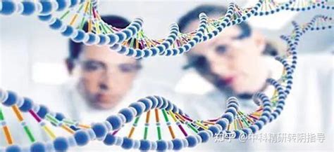 Open E7e File 的图像结果