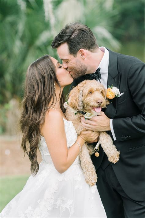 Image result for Pure Bride