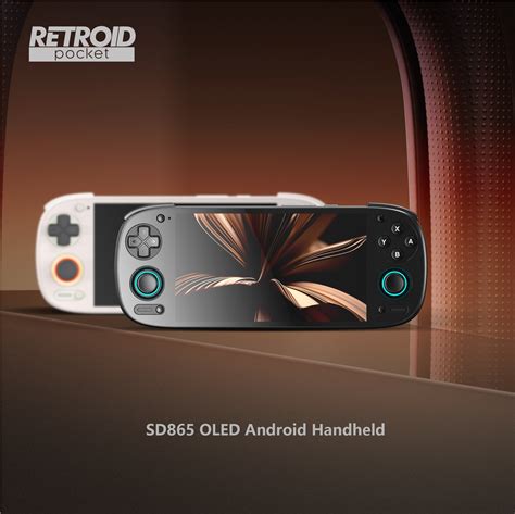 Image result for Retroid Pocket