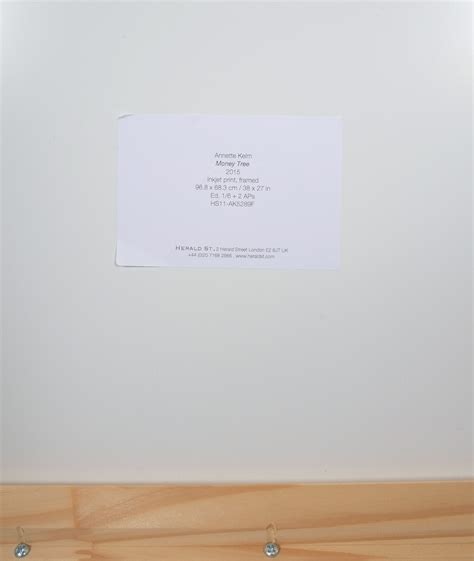 Annette Kelm Money Tree Photography, 2015 38“ x 27“ – DERIVE