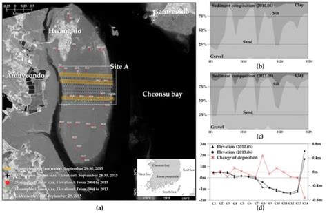 Generation of a Large-Scale Surface Sediment Classification Map Using ...