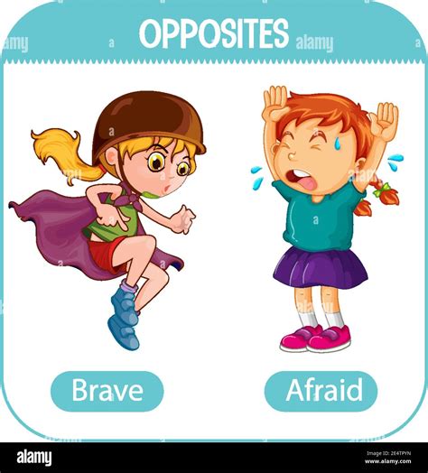 Opposite words with brave and afraid illustration Stock Vector Image ...