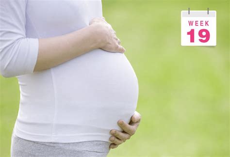 3個月孕婦肚子有多大？看看子宮大小和胎兒發育，孕婦心中有數了 - 每日頭條