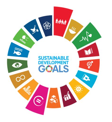 The India Opportunity – Audientes India