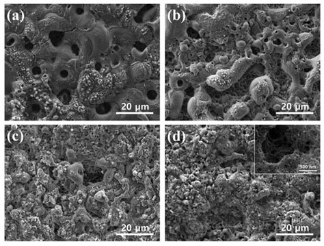 Effects of a Carbon Nanotube Additive on the Corrosion-Resistance and ...