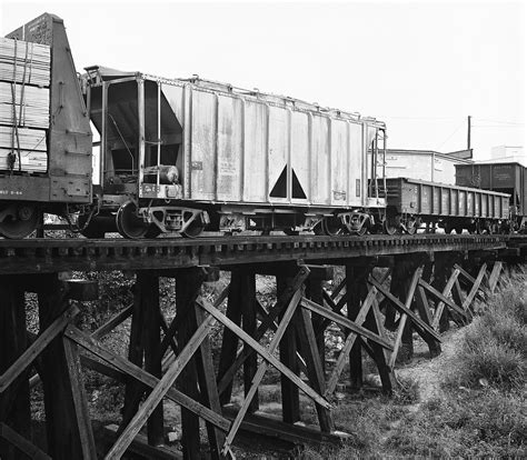 Image result for Transles