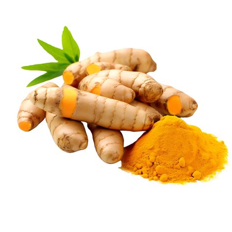 Turmeric In Spanish Wordreference at Ryan Knight blog