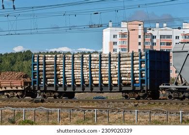 Image result for Transles