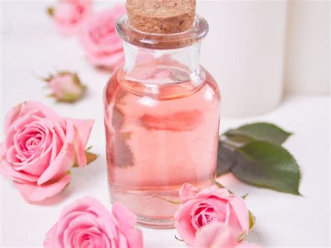 DIY Rose Water - Use Roses From Your Garden To Make Rose Water