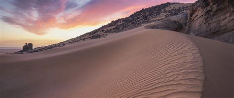 Image result for PyQt vs wxPython