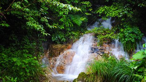 绿色植物和溪流河流瀑布高清图片下载-正版图片500818771-摄图网