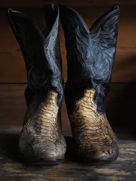 Exotic Leather 的图像结果