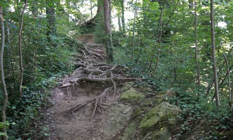 Through Doppelmayr Zoo to Bildstein | Urlaub am Bodensee, Vorarlberg