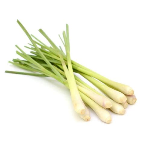 Buy Pure Organic Lemongrass Oil Online in India at Best Wholesale Price ...