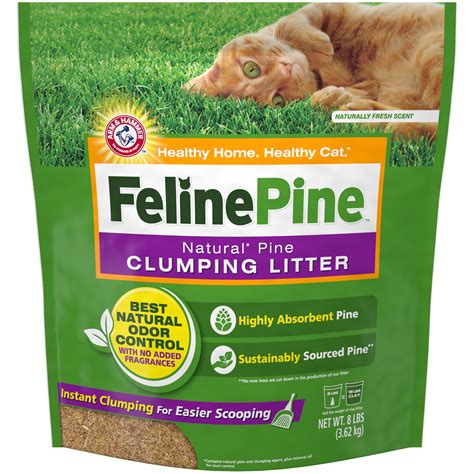 What Is Clumping Cat Litter Made Out Of at Victoria Brownlee blog