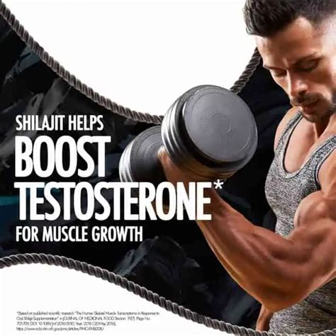 Kapiva Testofuel Shilajit Whey Protein Pack of 3